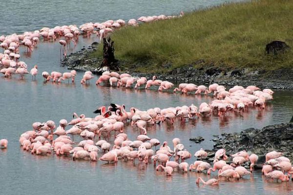 Arusha National Park
