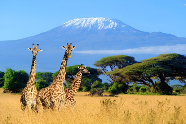Mount Kilimanjaro