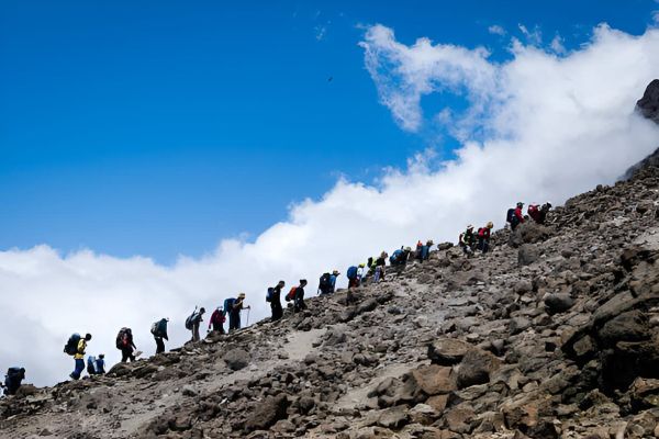 Kilimanjaro Trekking