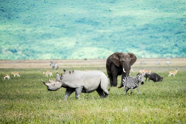 Ngorongoro Conservation Area