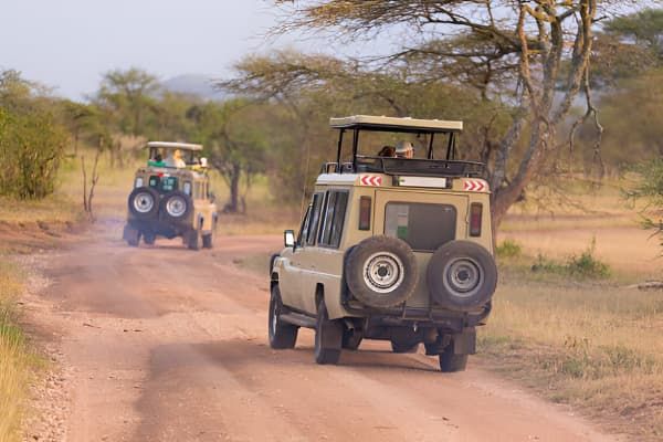 Tanzania Safari