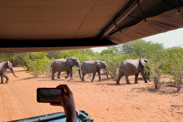 Description of image