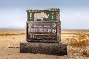 Description of image