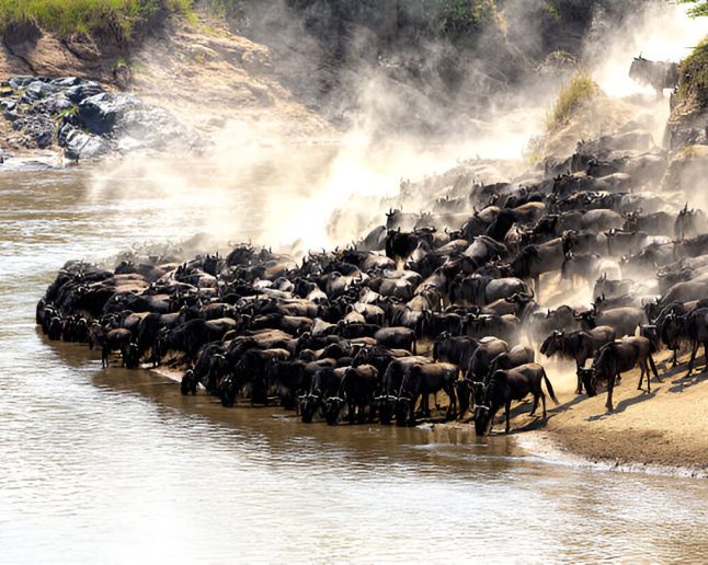Great Migration
